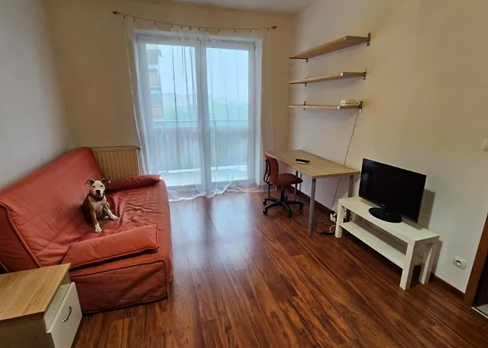 Apartament Lipinskiego